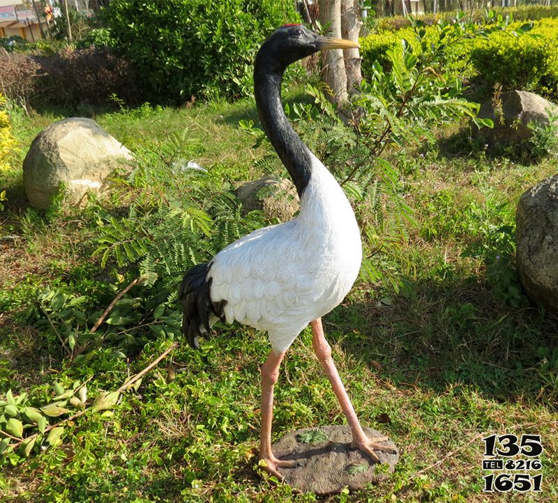 仙鶴雕塑-戶外玻璃鋼彩繪仿真動物公園景觀仙鶴雕塑