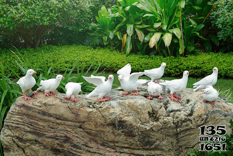 鴿子雕塑- 公園街道仿真動(dòng)物園林景觀(guān)創(chuàng)意玻璃鋼鴿子雕塑高清圖片