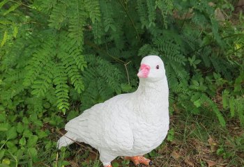 鴿子雕塑-公園戶外樹(shù)脂擺件鴿子雕塑