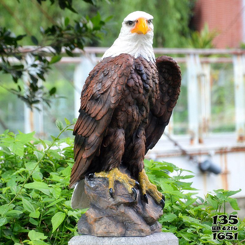 老鷹雕塑-公園一只仿真樹脂老鷹雕塑高清圖片