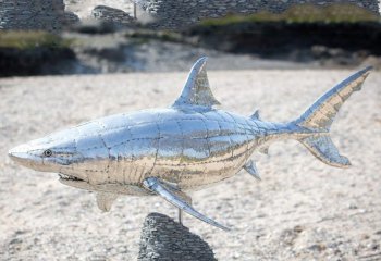 鯊魚(yú)雕塑-海邊一只不銹鋼鯊魚(yú)雕塑