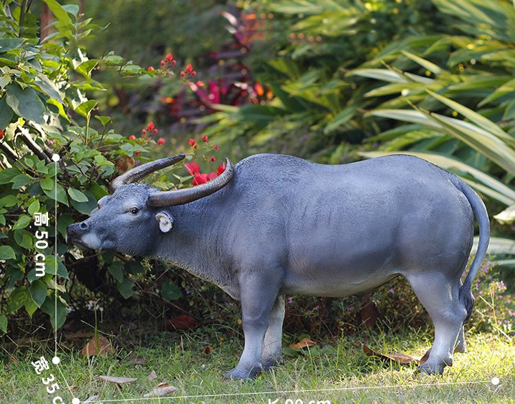 玻璃鋼仿真水牛雕塑-玻璃鋼仿真水牛雕塑公園動(dòng)物雕塑高清圖片