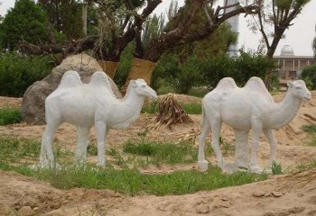 石雕駱駝公園動物雕塑-公園動物駱駝石雕